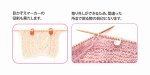 画像6: Tulip 目かぞえマーカーセット(ハート)　段かぞえマーカー(小)セット(ハート) (6)